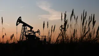 Нефтегазовый сектор в России за год заметно сократил свою долю в ВВП и доходах бюджета: на фоне санкций, ограничений добычи и слабых инвестиций отрасль теряет вес, оставаясь при этом ключевым источником ренты для экономики.