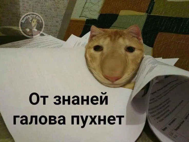 Минспорт планирует ввести тест по управлению небольшим дроном в комплекс ГТО: в этом году — в эксперименте, со следующего года — для всех желающих; выполнение норматива может давать до 10 баллов при экзаменах.