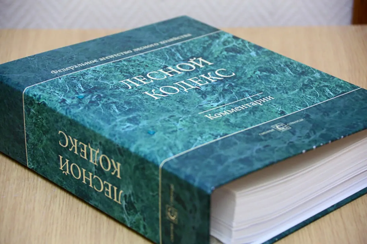 С момента принятия в 2006 году в кодекс внесли 79 наборов поправок; специалист по лесному хозяйству считает, что нужен полностью новый, упрощённый и компактный закон.