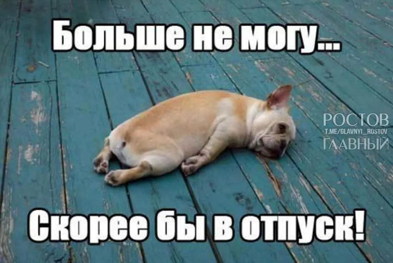 Депутаты предлагают добавить одну неделю к минимальному отпуску — это, по их словам, компенсирует выходные, которые сейчас входят в отпуск, и поможет избежать профессионального выгорания.