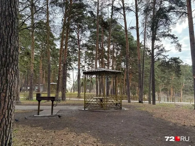 Администрация Тюмени сообщила, что благоустройство Гилевской рощи проводилось в 2015–2016 и 2018 годах. Демонтаж беседок и мангалов, а также их увеличение в 2026 году не запланированы.