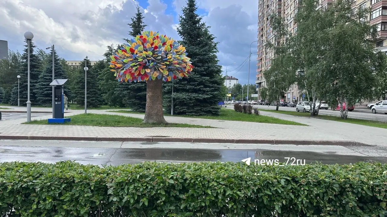 У входа в ЗАГС появилось «Дерево счастья», где молодожены теперь могут сделать памятные снимки.