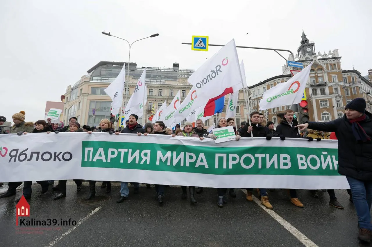 Регистрация федерального списка «Яблока» вызывает вопросы: власти могли разрешить участие, чтобы направить протест в безопасное русло, одновременно не допуская многих известных членов партии. Для недовольных это один из немногих легальных способов выразить позицию.