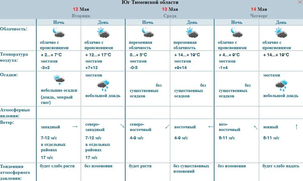 На этой неделе погодные условия в Тюменской области будут меняться быстро: 12 мая ожидаются мокрый снег и дождь, ветер будет порывистым, к пятнице воздух прогреется до +27°.