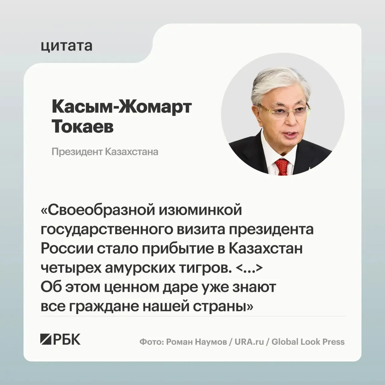 После обращения Казахстана с просьбой помочь в возрождении популяции амурского тигра Москва направила в Астану семейство животных — информацию о передаче представили на презентации для президентов.