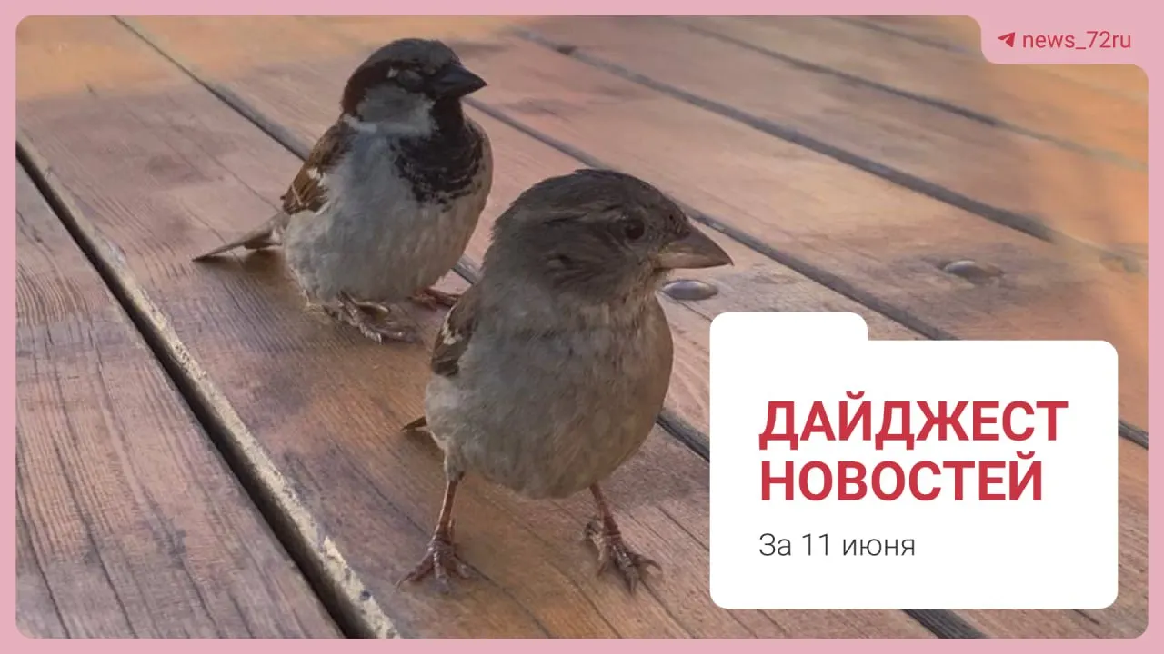 Дайджест главных новостей Тюмени: возвращение завода, реестр пострадавших после потопа, спасение машин из затопленного паркинга, рост случаев гепатита А, прогноз синоптика и афиша на День России.
