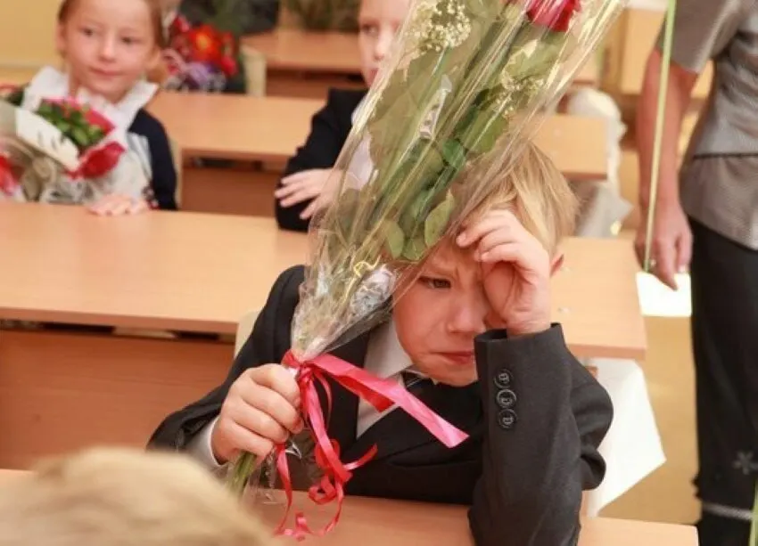Заместитель главы Минпросвещения РФ Владимир Желонкин сообщил, что 11-летний срок обучения оптимален; ни сокращать, ни увеличивать его сейчас не планируют, а новые стандарты будут внедряться с расчётом на 11 классов.