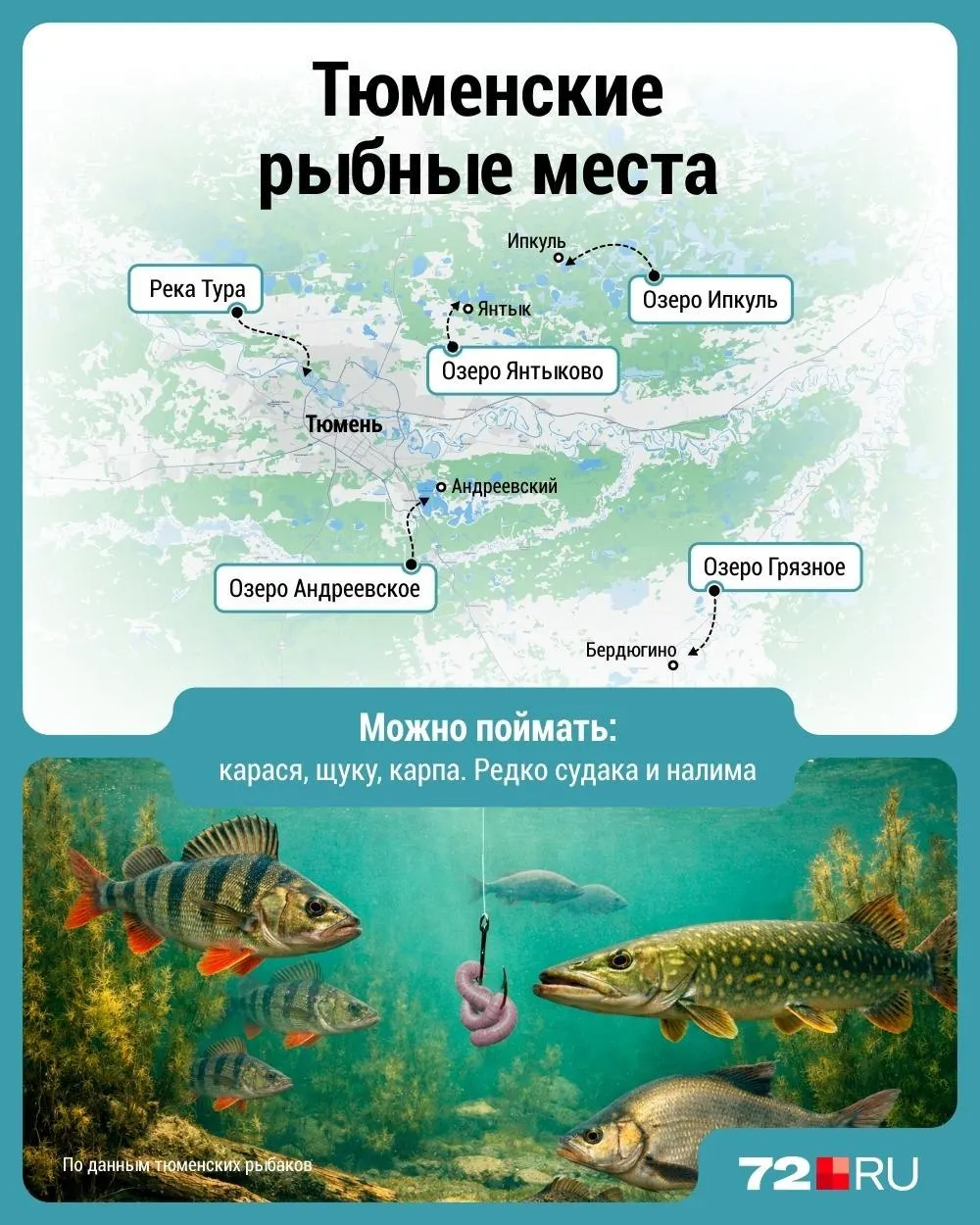 Сезон рыбалки в Тюмени в разгаре — где поблизости ловят карася, щуку, карпа, судака и налима.