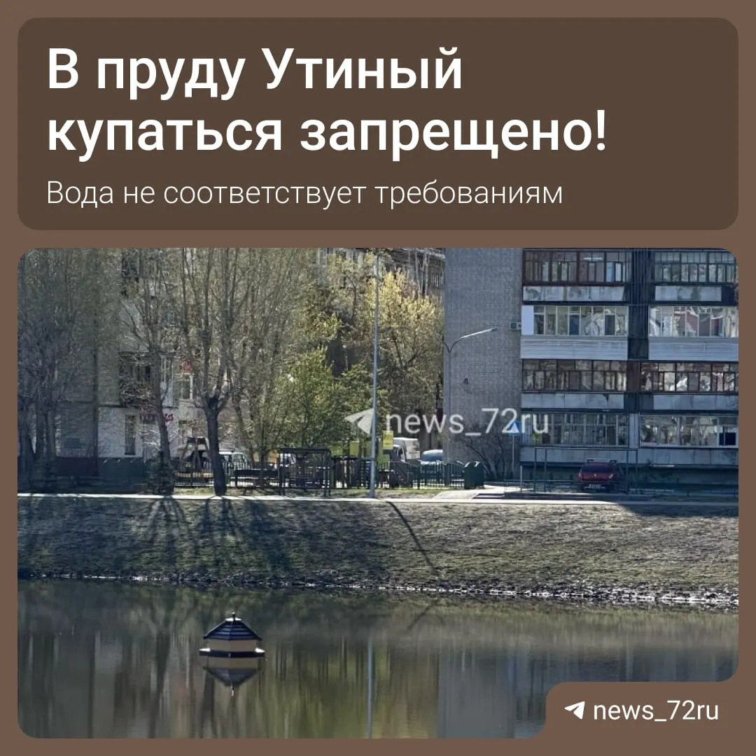 Роспотребнадзор отобрал пробы воды в карьере «Утиный»: по результатам лабораторных исследований вода не соответствует требованиям санитарного законодательства, купание и контакт с водой временно запрещены.