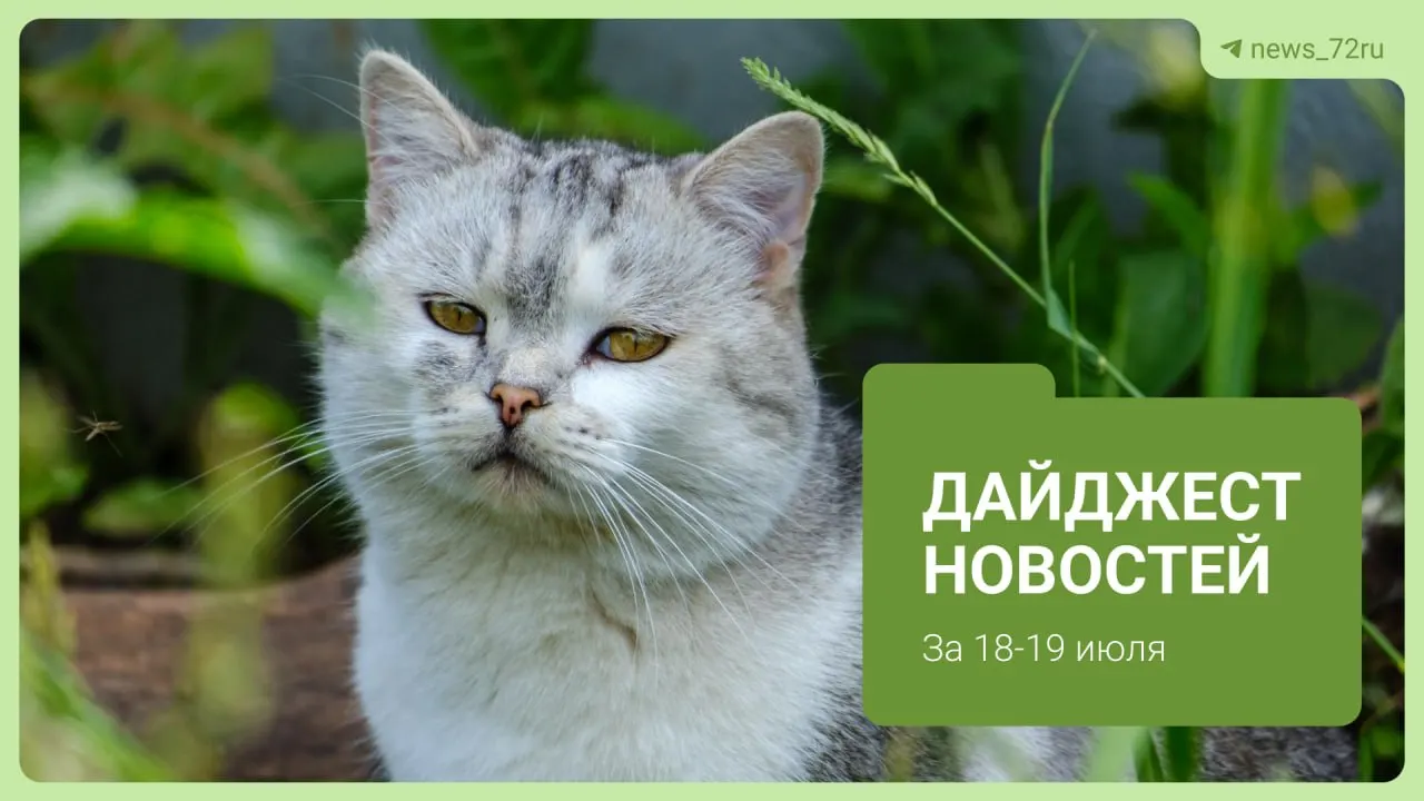 В центре внимания — конфликт между автоледи на автозаправке. В выпуск также вошли новости о медицинских ограничениях, ЧП в магазине, запуске недостроя в индустриальном парке, обновлённых правилах парковки и других событиях Тюмени.