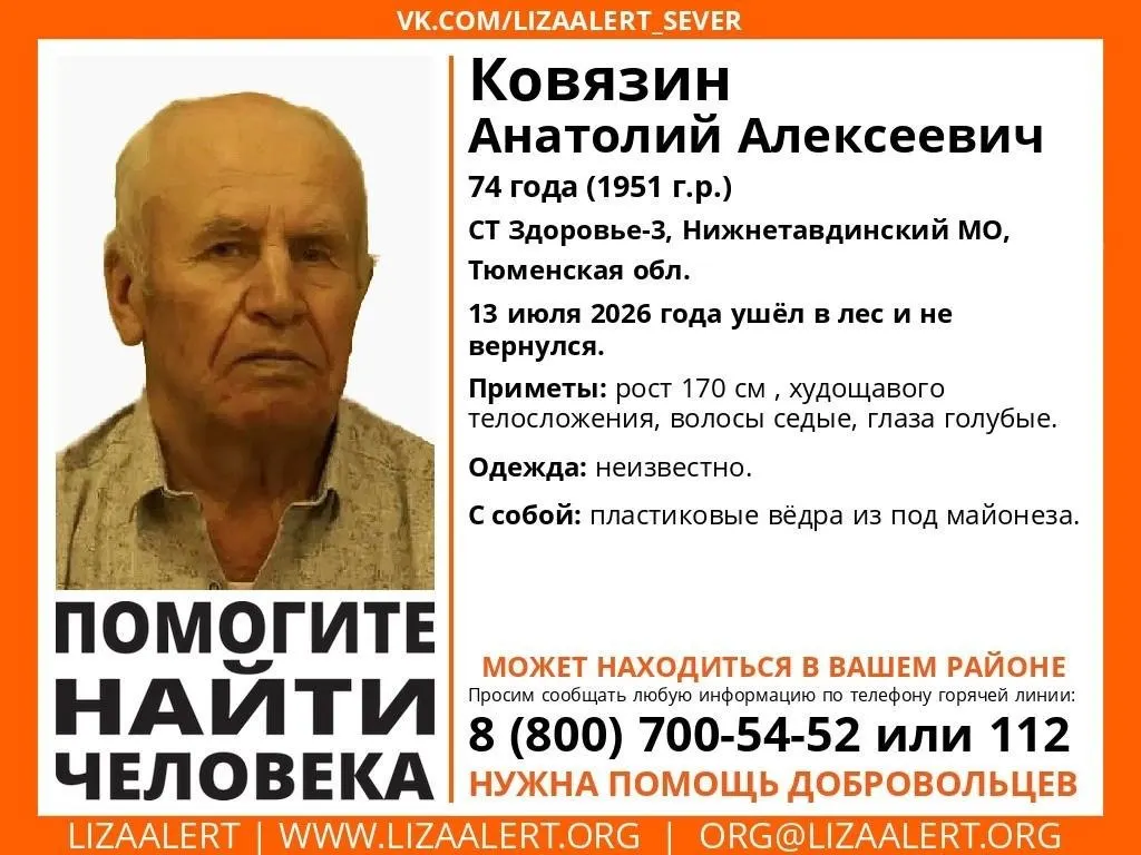 Пенсионер ушёл в лес за малиной 13 июля и не вернулся. В садовом товариществе «Здоровье‑3» развернули штаб поисков; волонтёры и спасатели просят сообщать любую информацию по телефонам.