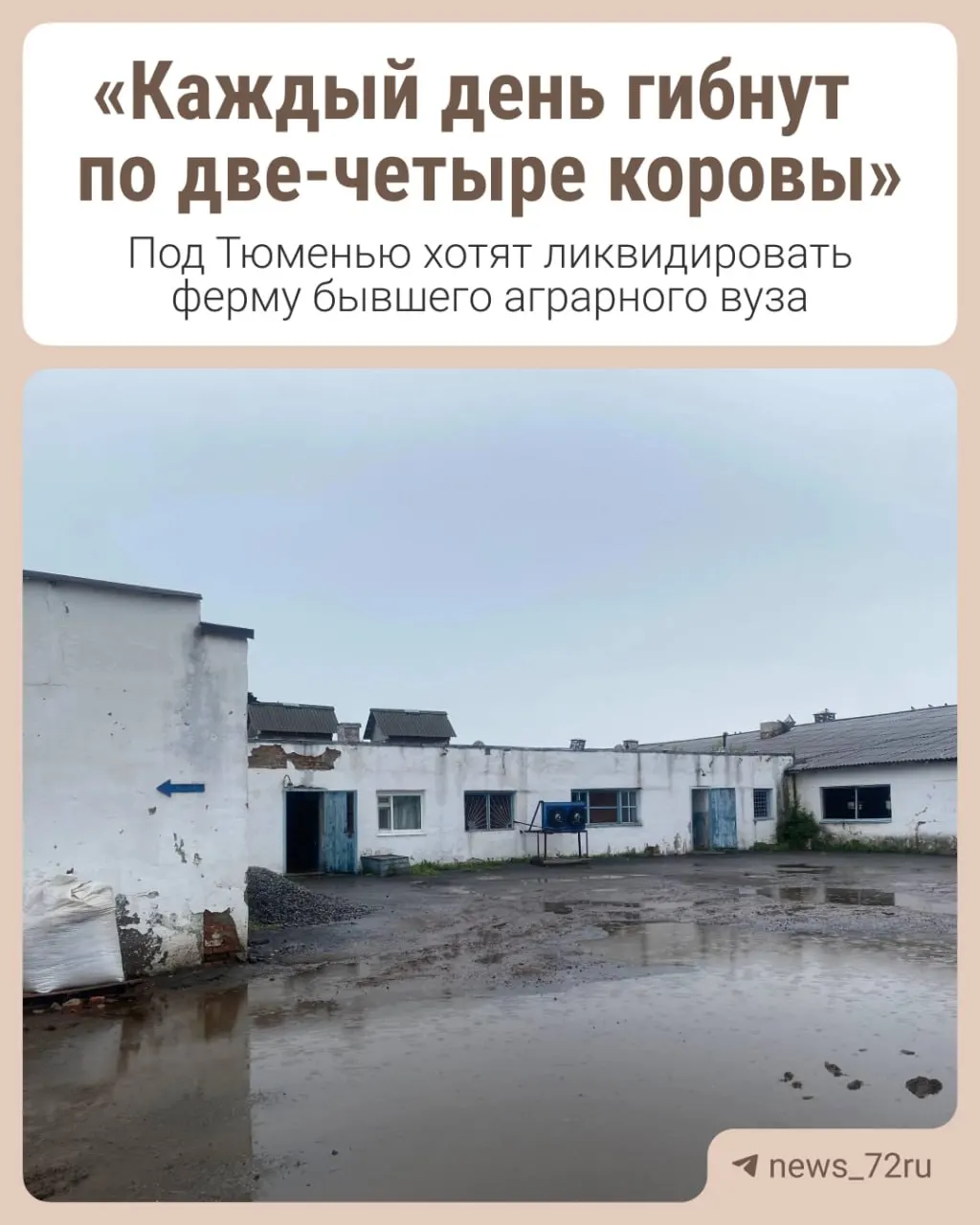 В учебно-опытном хозяйстве, вошедшем в состав ТюмГУ, планируют свернуть животноводческое направление: сотрудники увольняются, хозяйство приходит в упадок, не хватает средств на лечение животных.