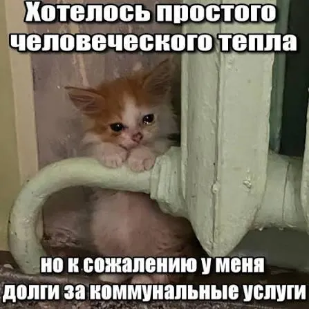 ВС подтвердил, что по исковой давности (3 года) задолженности по капремонту нельзя принудительно взыскивать через платёжки — это важно для покупателей вторичного жилья и наследников.