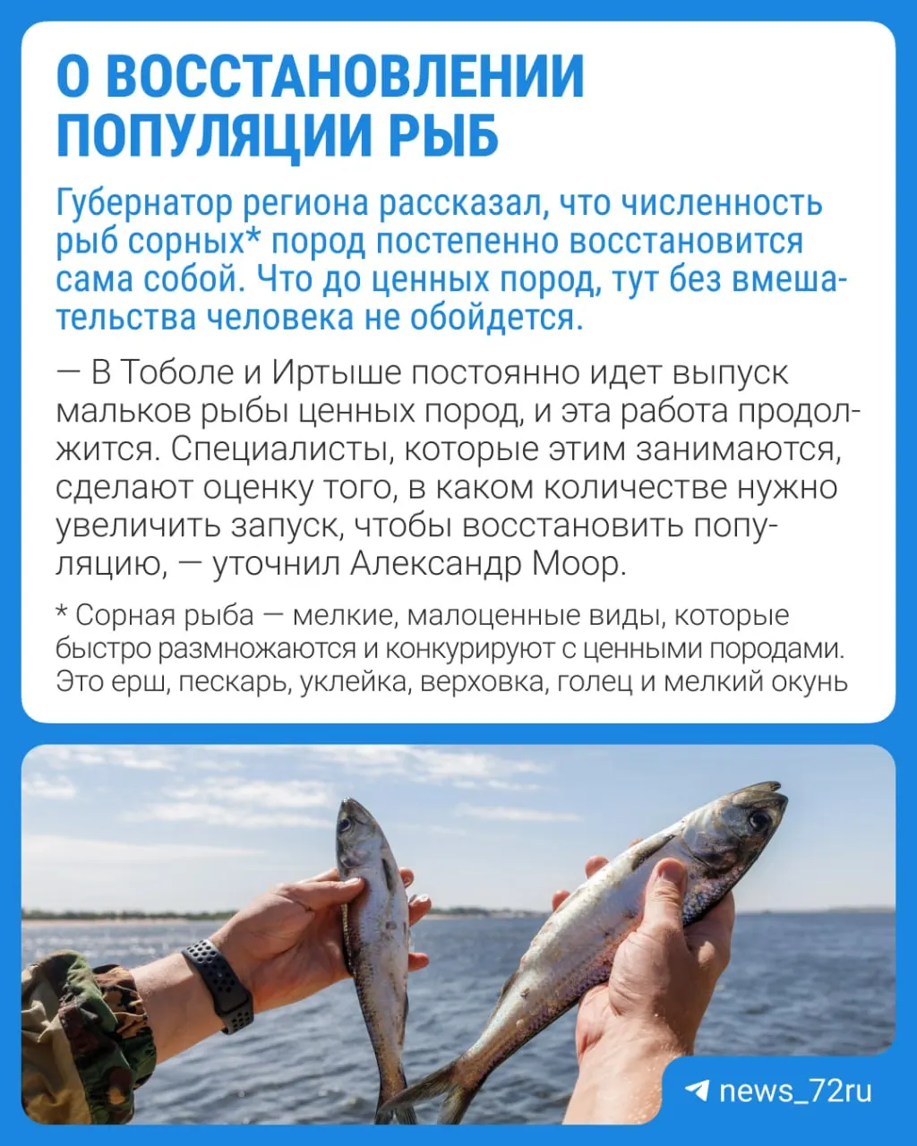 После летнего паводка и жары в регионе погибло значительное число рыбы; проводятся работы по уборке погибших и мониторинг экосистемы водной артерии.