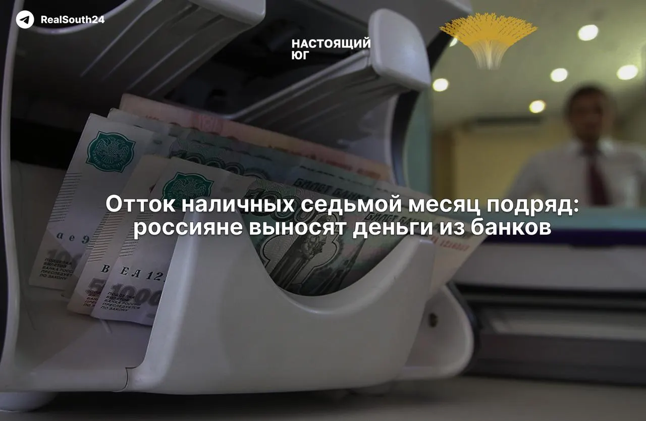 За год наличные в экономике достигают рекордного уровня: эксперты связывают рост с налоговой нагрузкой и страхом конфискации счетов.