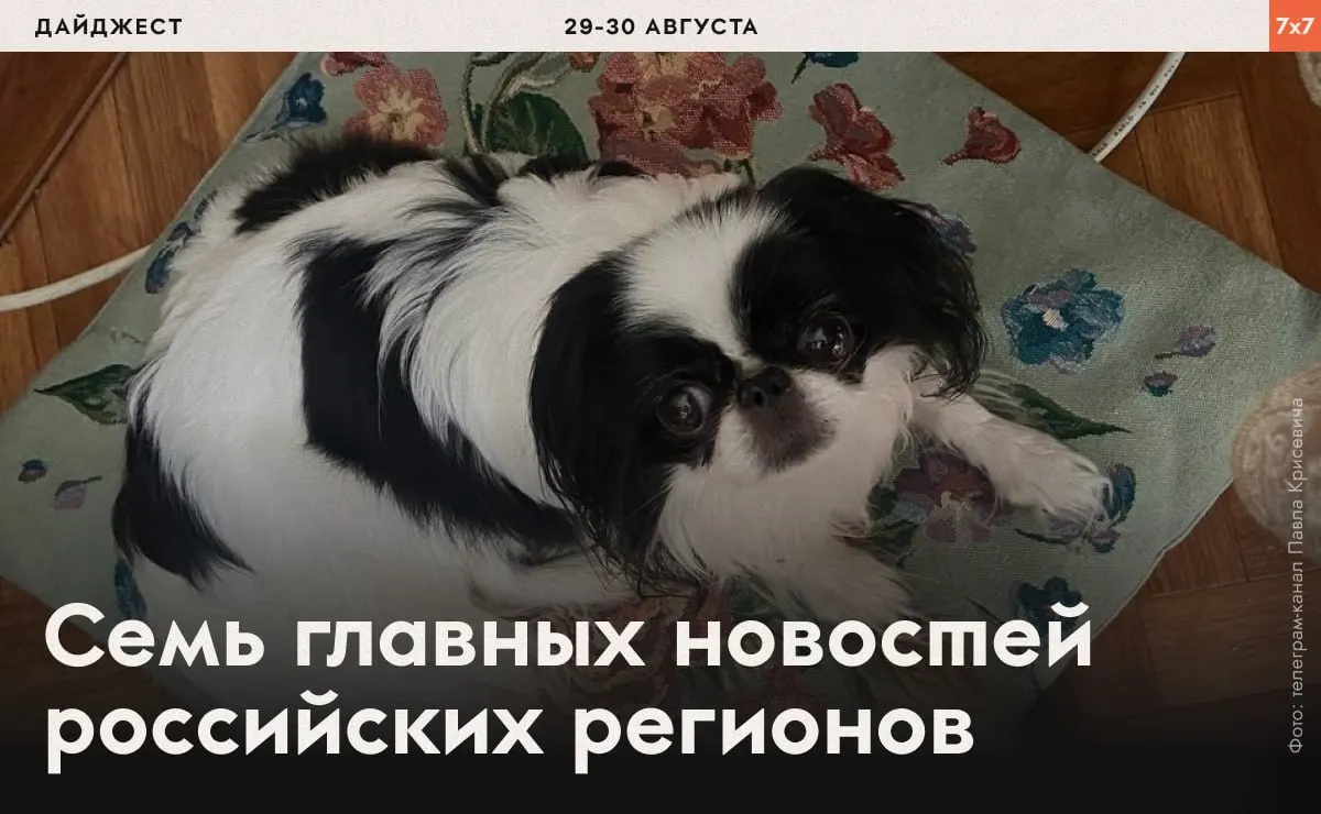 Дайджест последних случаев давления на активистов и региональных мер власти по всей стране.