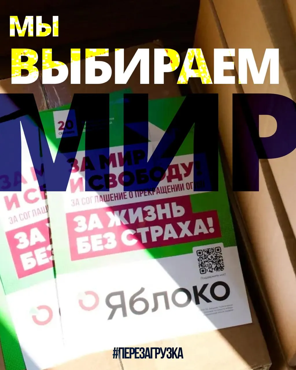 В 53 регионах продолжается сбор кандидатур: 135 кандидатов от партии «Яблоко» участвуют в агитации. Суд рассмотрит апелляцию по списку, поддержка растёт, а россияне за границей поддерживают акцию.