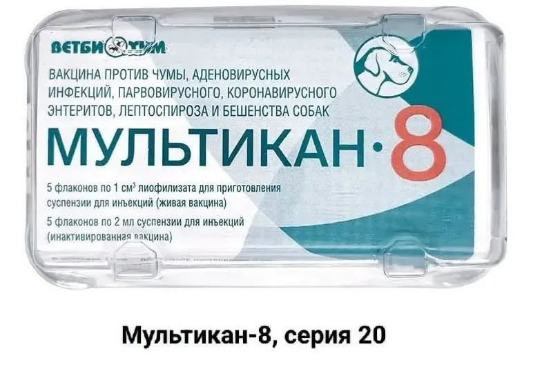 После прививки «Мультикан-8» у ряда питомцев зафиксированы смертельные случаи. Владельцы просят независимых анализов и открытого расследования, указывая на возможное замалчивание фактов.