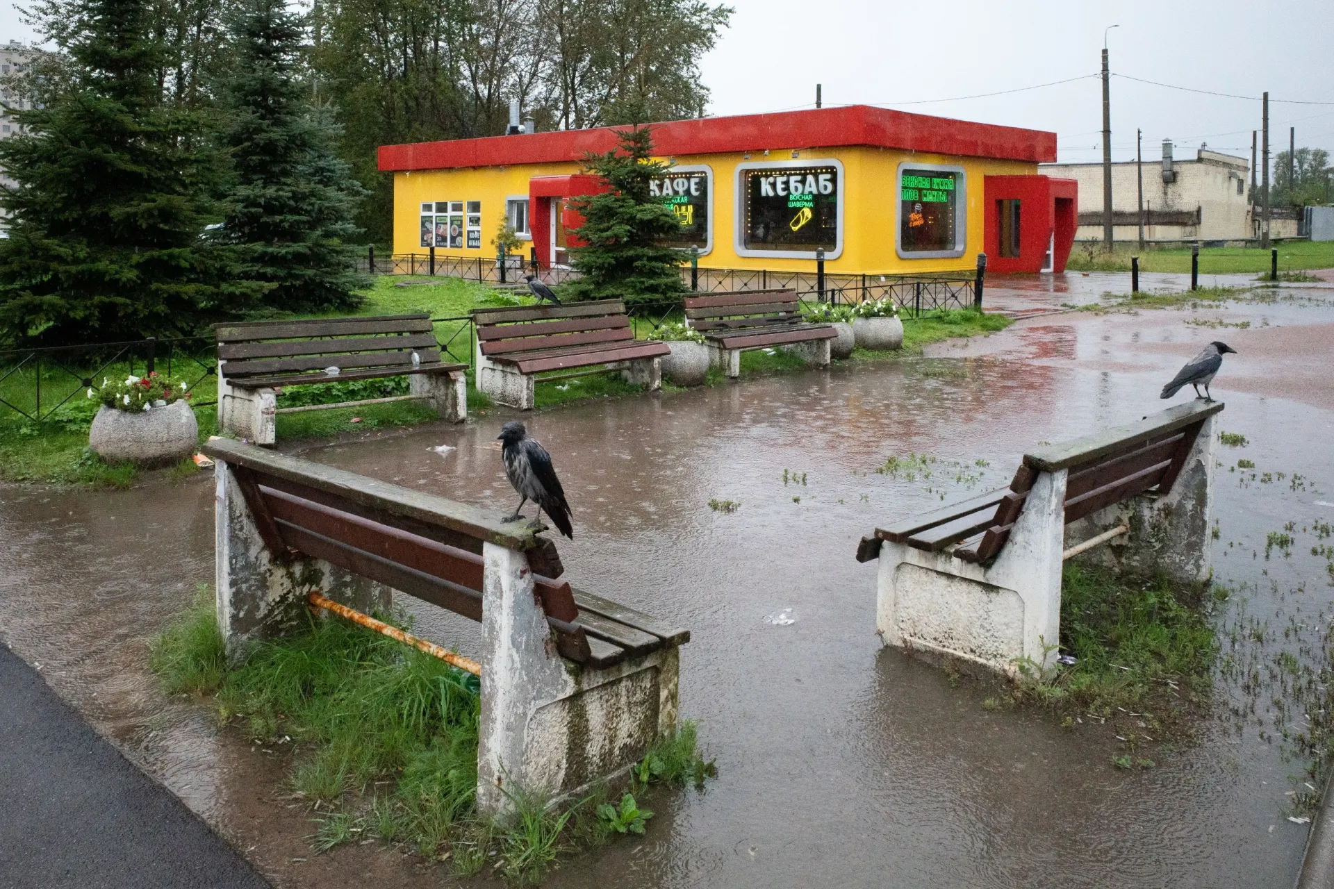 Сводка городских, федеральных и международных событий: развод известного политика в Петербурге, политические дискуссии и новые изменения по миру.