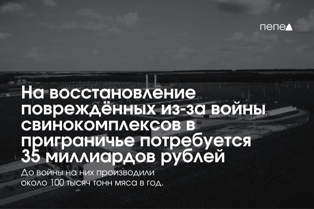 Из-за обстрелов и атак беспилотников в приграничных регионах России предстоят значительные расходы на безопасность, ремонт и возобновление производства свинины. Некоторые фермы уже остановлены, а региональная доля мясного сектора значительно влияет на общий объём продукции.