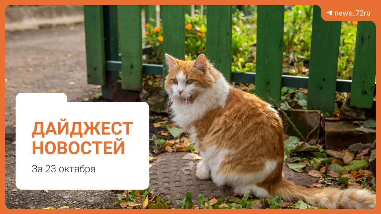 Жители нескольких районов Тюмени жалуются на липкую и жирную воду. В дайджесте региона — обещания властей, блокирование проездов, судебные дела, новые тарифы ЖКУ и изменения на заводах.