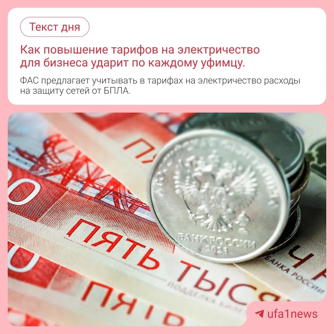 Новые правила могут повлиять на цены для населения, так как расходы на защиту энергосетей от дронов планируют заложить в тарифы.